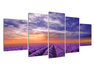 Modern kép - vidékek