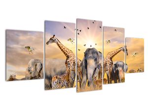 Modern kép - állatok