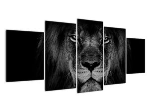 Modern kép - állatok