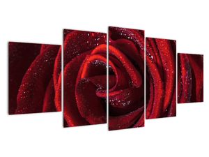 Modern kép - virágok 