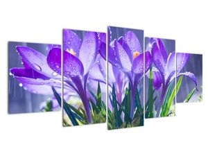 Modern kép - virágok 