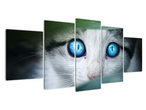 Modern kép - állatok