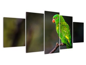 Modern kép - állatok