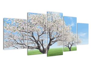 Modern kép - vidékek