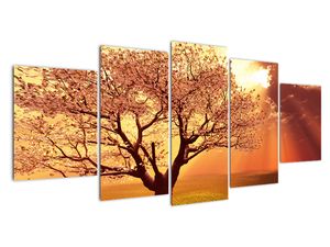 Modern kép - vidékek