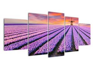 Modern kép - vidékek