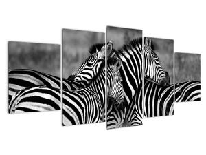 Modern kép - állatok