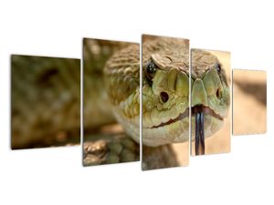 Modern kép - állatok