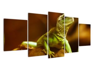 Modern kép - állatok