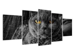 Modern kép - állatok