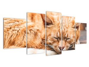 Modern kép - állatok