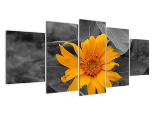 Modern kép - virágok 