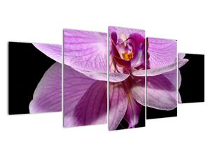 Modern kép - virágok 