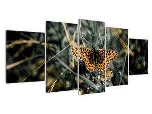 Modern kép - állatok