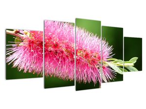 Modern kép - virágok 