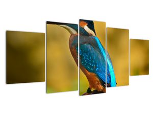 Modern kép - állatok