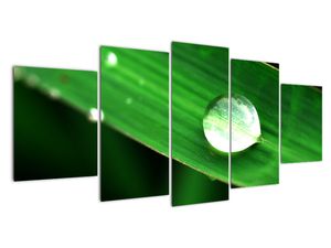 Modern kép - makró