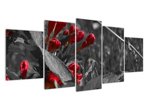 Modern képek - virágok 