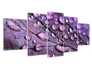 Modern kép - makró