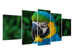 Modern kép - állatok