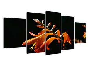 Modern kép - makró