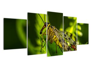 Modern kép - makró