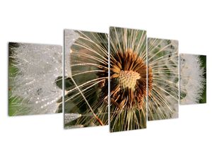 Modern kép - makró