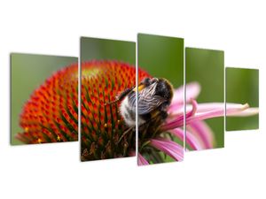 Modern kép - állatok