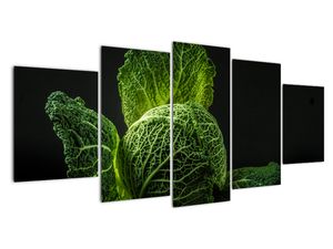 Modern kép - makró