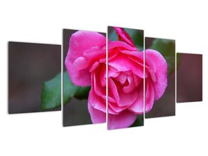 Modern kép - virágok