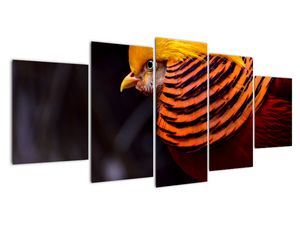 Modern kép - állatok