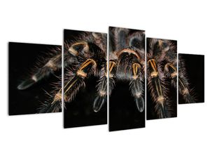 Modern kép - állatok