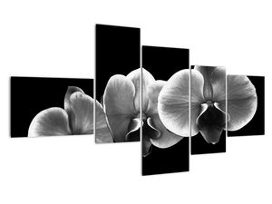 Modern kép - virágok 