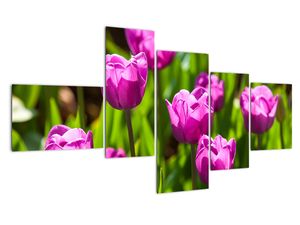 Modern kép - virágok 