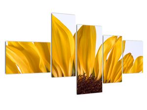 Modern kép - virágok 