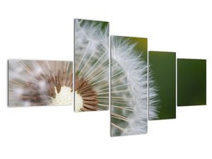 Modern kép - virágok 