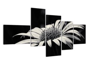 Modern kép - virágok 