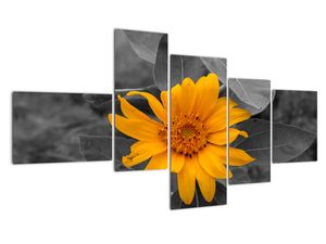 Modern kép - virágok 