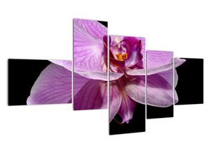 Modern kép - virágok 