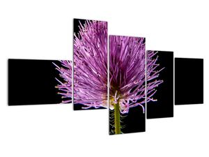 Modern kép - virágok 