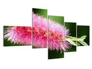 Modern kép - virágok 