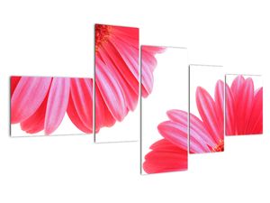 Modern kép - virágok 