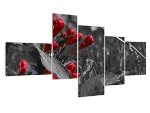 Modern képek - virágok 