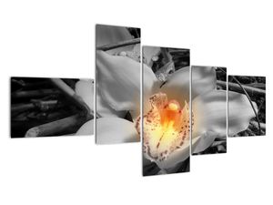 Modern kép - virágok