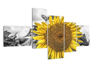 Modern kép - virágok 