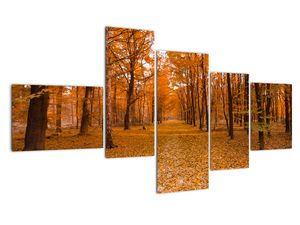 Modern képek - táj