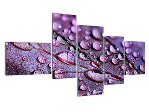 Modern kép - makró