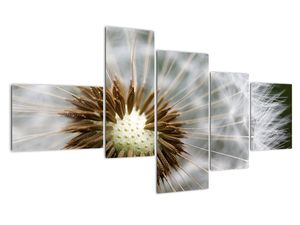 Modern kép - makró