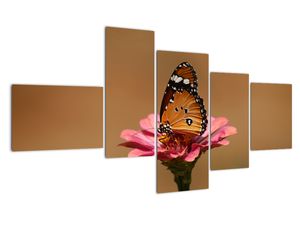 Modern kép - makró