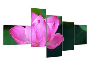 Modern kép - makró